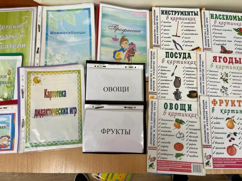 Развивающая предметно-пространственная среда