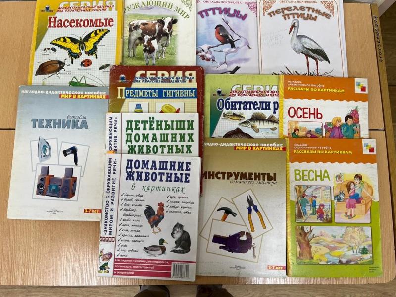 Развивающая предметно-пространственная среда