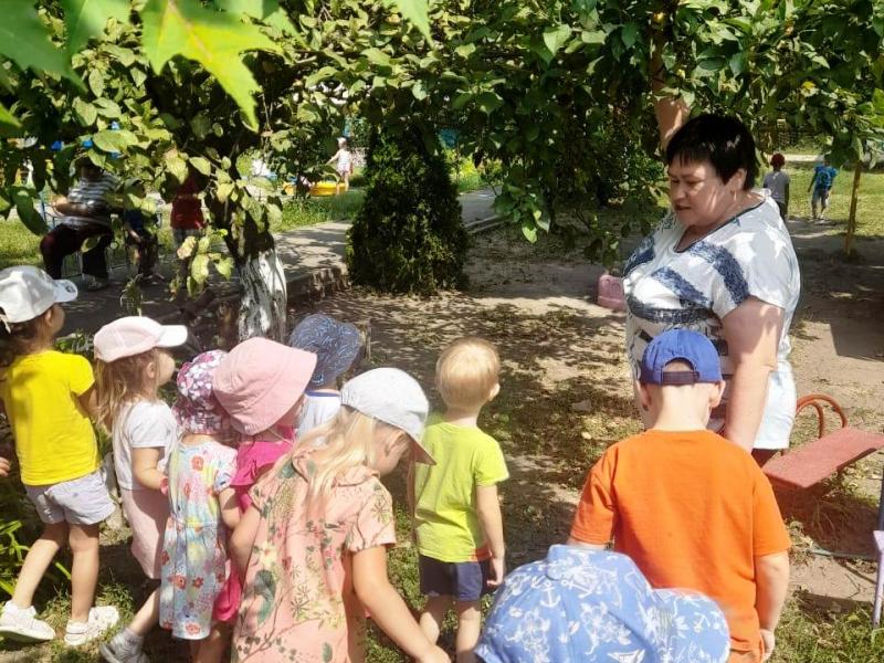 Экскурсия:"В гостях у яблони "