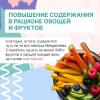 5 принципов здорового питания 